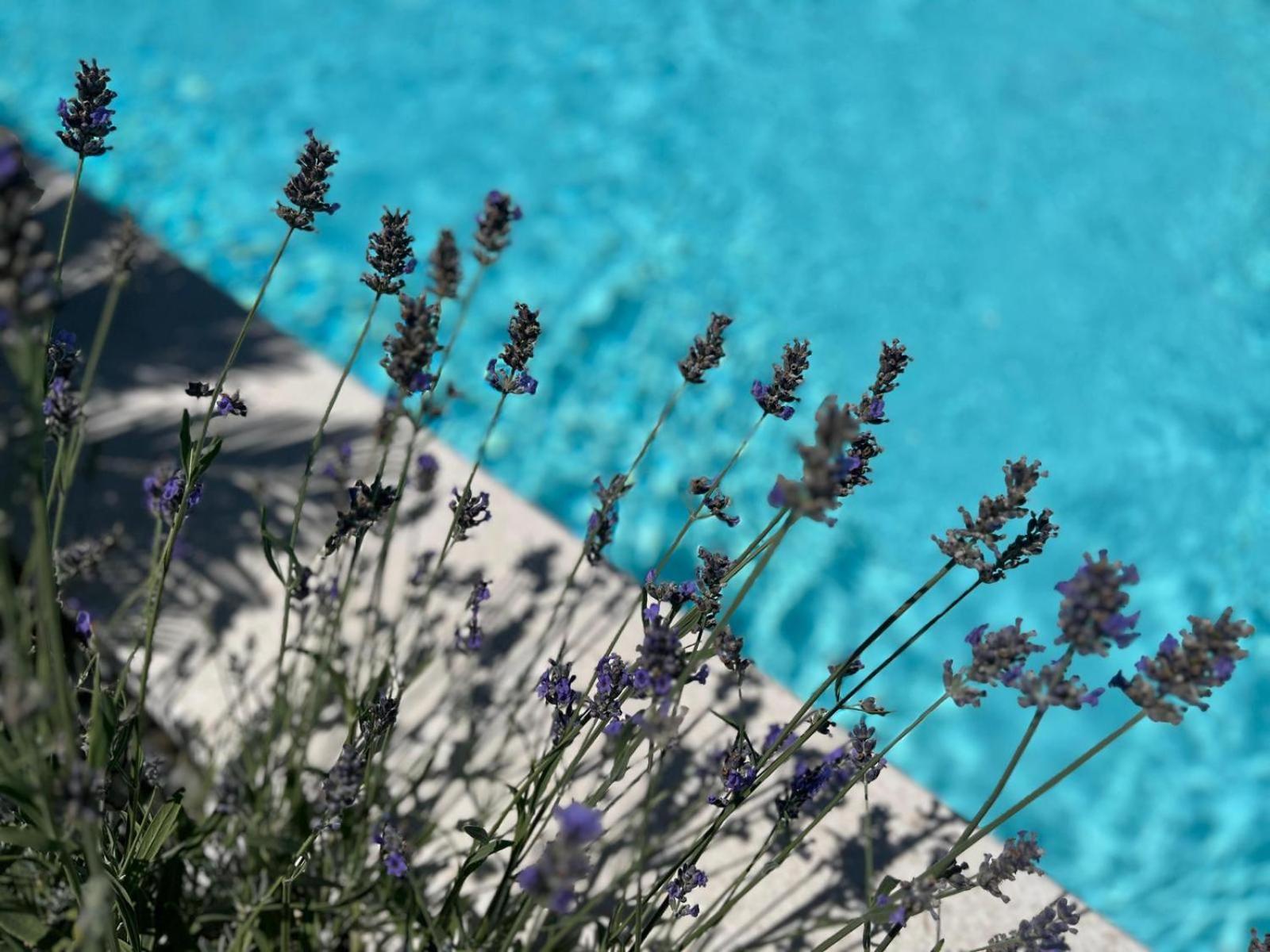 Apartments And Rooms Matesa Vodice Exterior foto